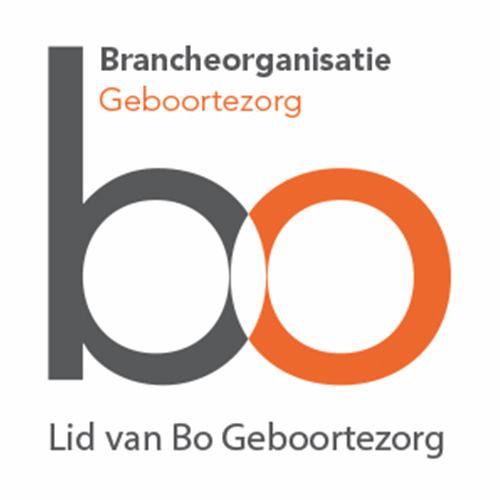 logo website BO