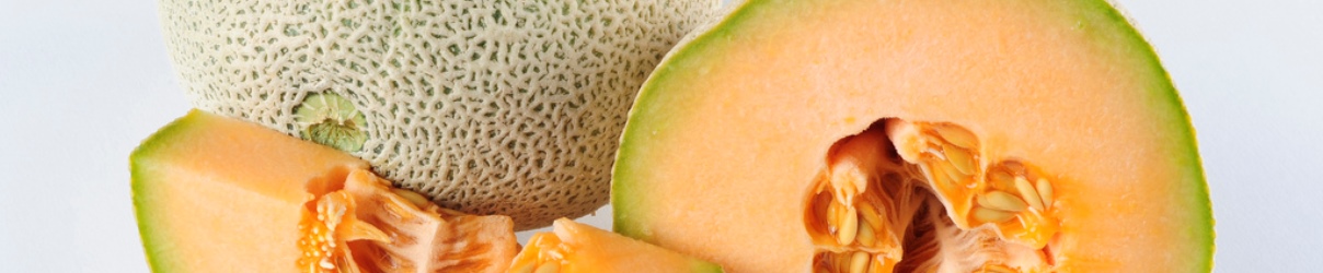 Cantaloupe Week 34 Kraamzorg de Waarden
